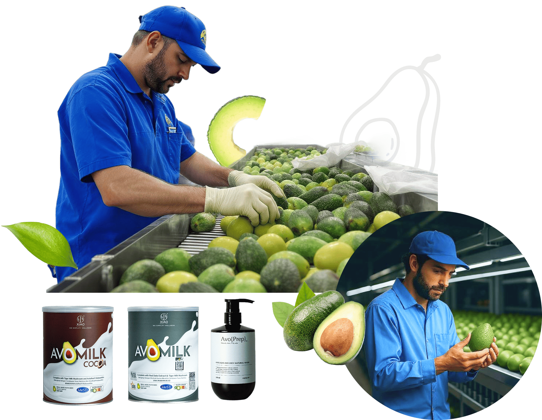 Avocado Worker